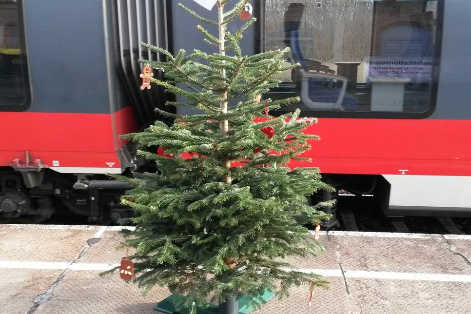 Mit dem Zug kam der Weihnachtsbaum wieder zurück nach Senftenberg. Foto: Polizei