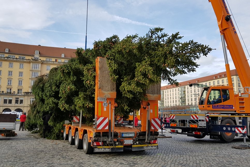 Schnappschuss von der Ankunft des Baumes 2019. Foto: Büttner