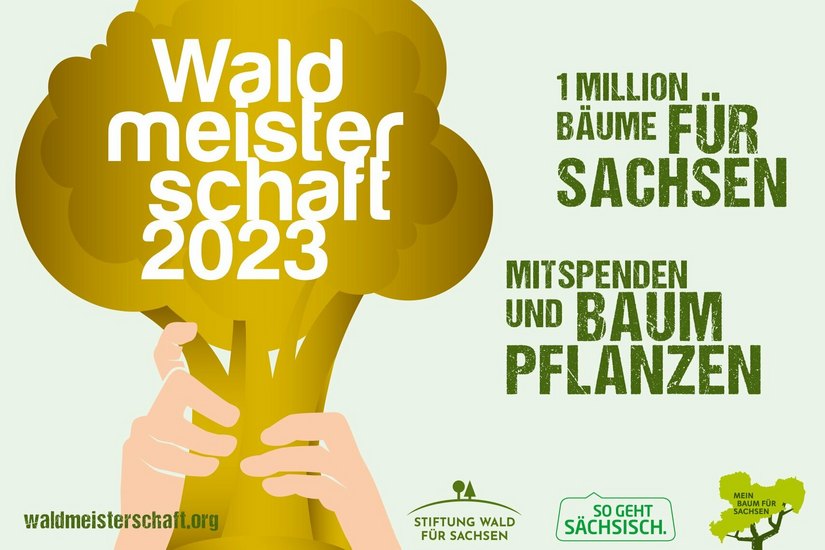 Wichtige Unterstützung für Sachsens Wälder.