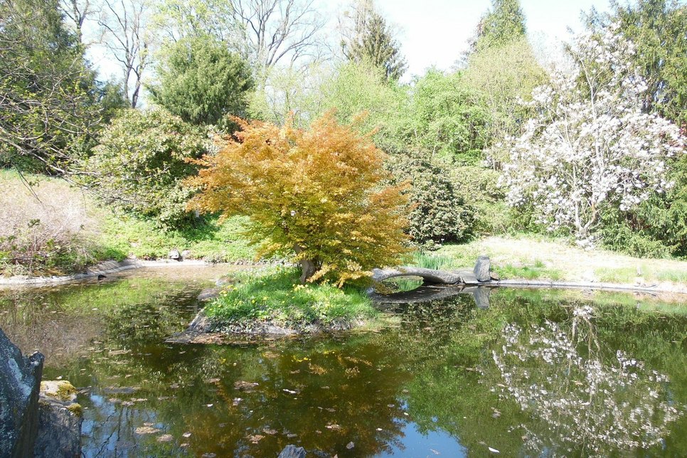 Auch dieser wunderschöne Teich gehört zum großzügigen Schlossparkareal.  Foto: Wo