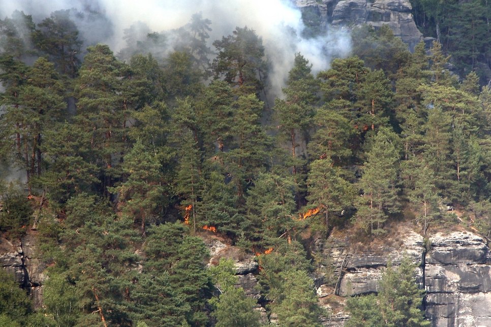 Wegen Waldbrandgefahr ist das Betreten des Nationalparks nach 21 Uhr verboten. Das Bild stammt von August 2018. Damals kam es u.a. nahe der Bastei zu schweren Waldbränden. Foto: Daniel Förster