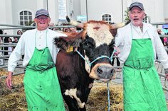 Die beiden Betreuer des Kuh Roulettes, Heinz-Peter Weigel (r.) und Uwe Hanneck, haben sichtlich Mühe, die Hauptakteurin zu bändigen.