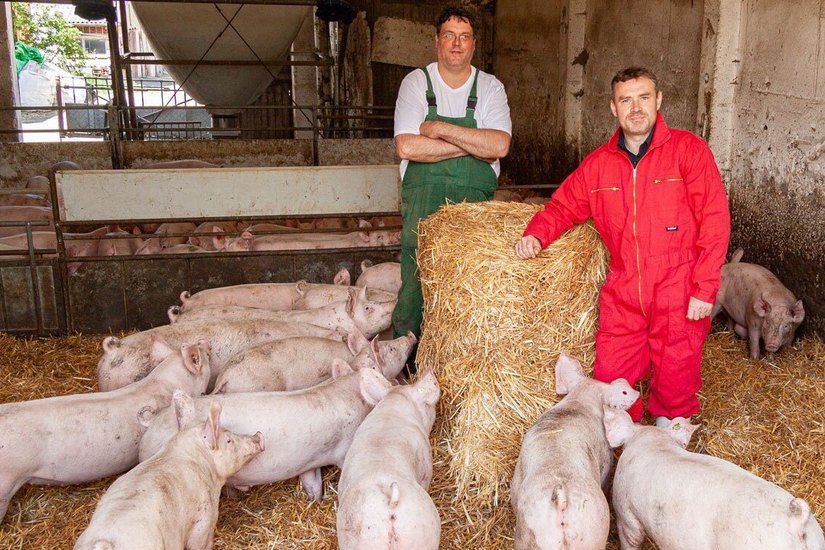 Der Schiebocker Fleischerei-Geschäftsführer Jens Mühmelt (vorn) und der Ferkelerzeuger Christian Ahrens arbeiten künftig zusammen.