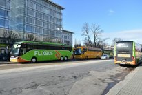 Ab heute (25. März) startet FlixBus wieder ab Dresden, bis zu vier Mal geht es nach Berlin und Hamburg. Foto: Schiller