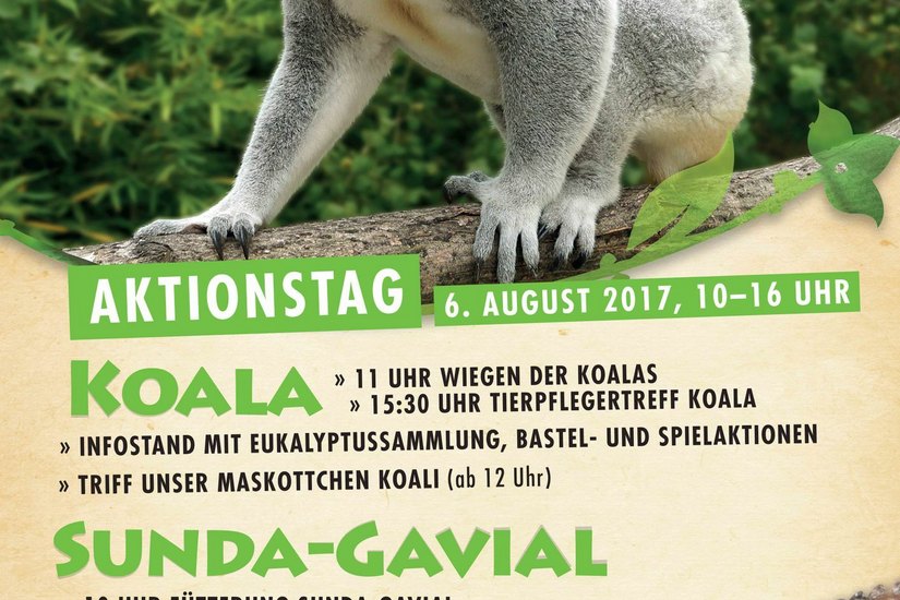 Plakat / Zoo Dresden