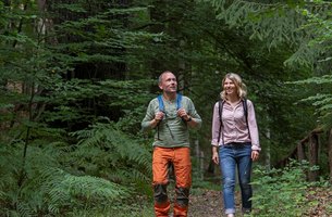 Auch zu Fuß, wie hier bei einer Wanderung durch den Märchenwald, lässt sich das Lausitzer Seenland erkunden. | Foto: Nada Quenzel, Tourismusverband Lausitzer Seenland