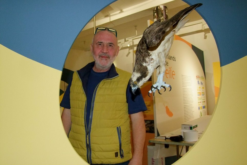 Olaf Zinke, stellvertretender Leiter des Museum Westlausitz, vor einem lebensecht-wirkenden Vogelpräparat eines Fischadlers. Foto: Rainer Könen