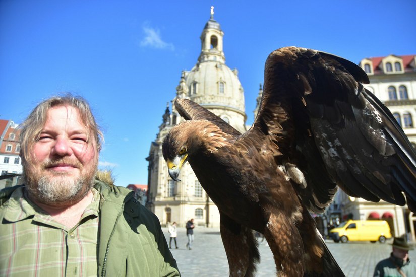 Falkner Hans-Peter Schaaf aus Moritzburg mit einem Greifvogel auf dem Neumarkt.