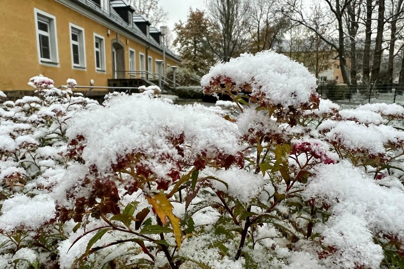 Der erste Schnee im Jahr 2022 in Pirna am vergangenen Wochenende.