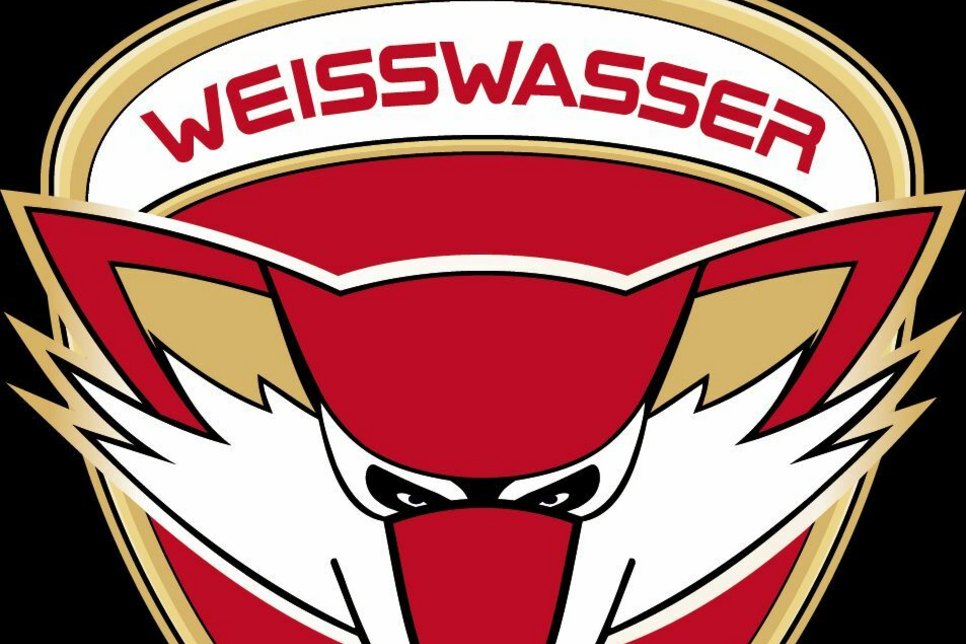 Logo Lausitzer Füchse / PR