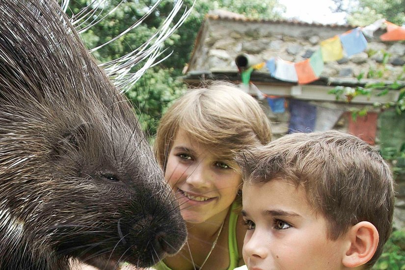 In den Ferien gibt es im Tierpark in Görlitz für den Nachwuchs viel zu entdecken. Foto: www.zoo-goerlitz.de