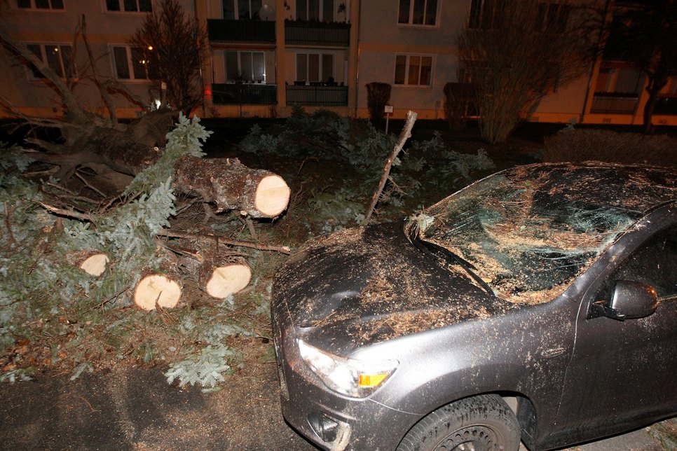 Auf der Rudolf-Breitscheid-Straße krachte ein Baum auf ein Fahrzeug.