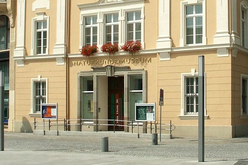 Senckenberg Museum in Görlitz. Foto: gla