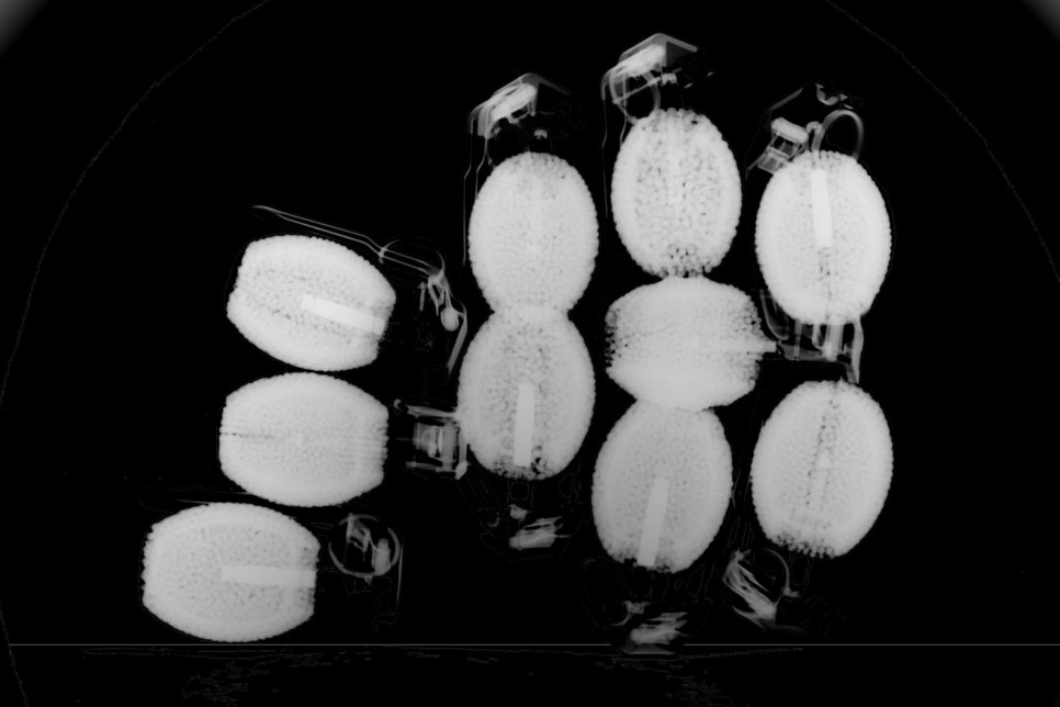 Röntgenbild der Granaten. Foto: LKA Sachsen