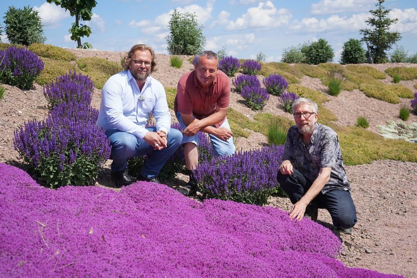 Moderator Jens Haentzschel, Mammutgarten-Chef Jörg Kohout und Regisseur Jörg Heiß zeigen sich begeistert von dem intensiv leuchtenden Kaskadenthymian.