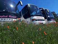 Die Reisebusse von Steglich Reisen stehen momentan still. Foto: Steglich Reisen