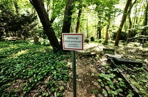 Es braucht ein Konzept für den St. Pauli-Friedhof als Landschaftspark, es können nicht über elf Hektar vereinzelt Grabsteine stehen. | Foto: Branczeisz