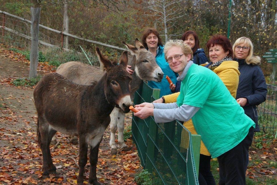Die Mitarbeiter des WochenKurier Riesa-Großenhain wollen mit ihrer Hilfe den Tieren in der Hebelei helfen. Foto: Farrar