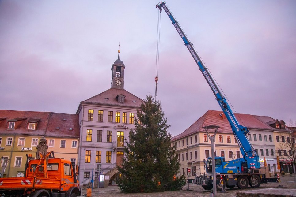 Der Weihnachtsbaum wurde heute Morgen auf dem Bischofswerdaer Altmarkt von Mitarbeitern des Bauhofes aufgestellt.