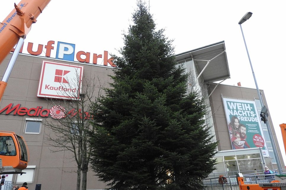 Der Weihnachtsbaum am KaufPark Nickern wird mit Hilfe eines Krans aufgestellt.