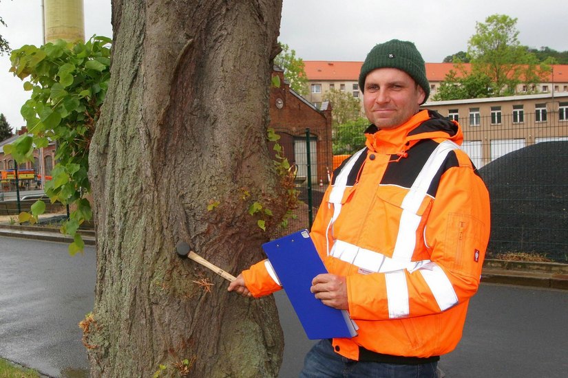 Dipl.-Forstwirt Matthias Karich ist als Baumkontrolleur in Meißen unterwegs. Foto: Farrar