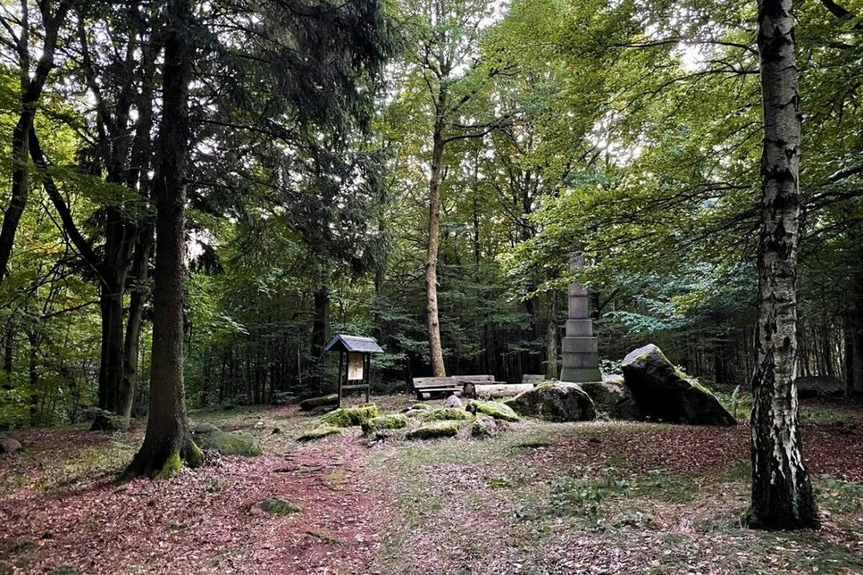 Das Waldgebiet Gerstenberg bei Rugiswalde an der sächsisch-tschechischen Grenze ist Teil der Planungskulisse für das Walderlebnisgebiet.