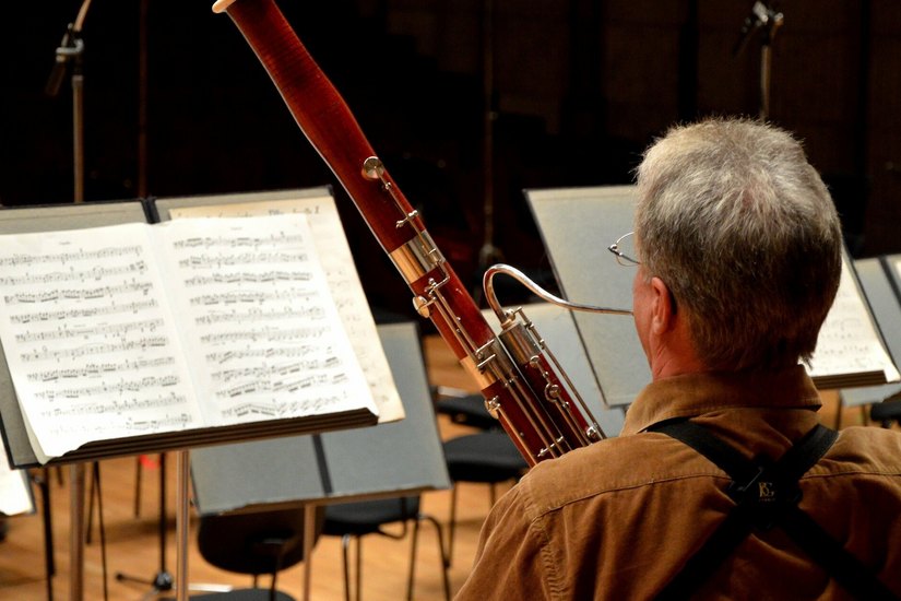 Wer in einem Blasorchester mitspielen will, ist am 4. Februar in der Lausitzhalle genau richtig. Foto: L. Houska/Pixabay