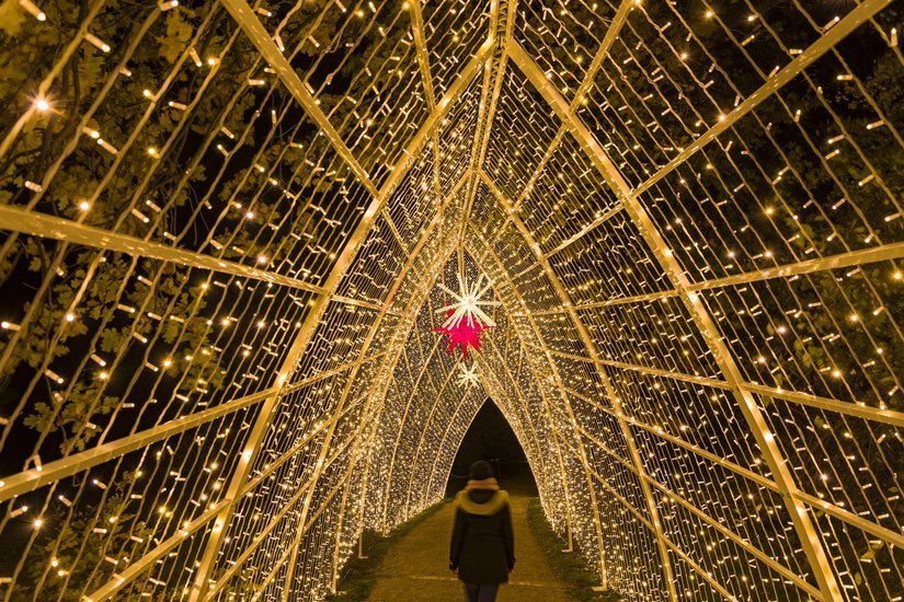 So schön war der Christmas Garden in Pillnitz 20219/20. Fotos (5): Michael Clemens