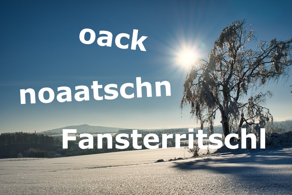 Gewinner 2020: „noaatschn“; „Fansterritschl“ und „oack“ setzten sich im Jahr 2020 durch. Foto: Pixabay