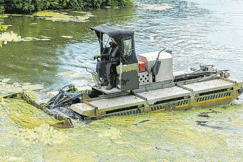 Firma WERTEC GmbH aus Chemnitz  wird mit einem ähnlichen Amphibienfahrzeuges Truxor. das Spiegelbassin im Barockgarten von den Algen befreien.