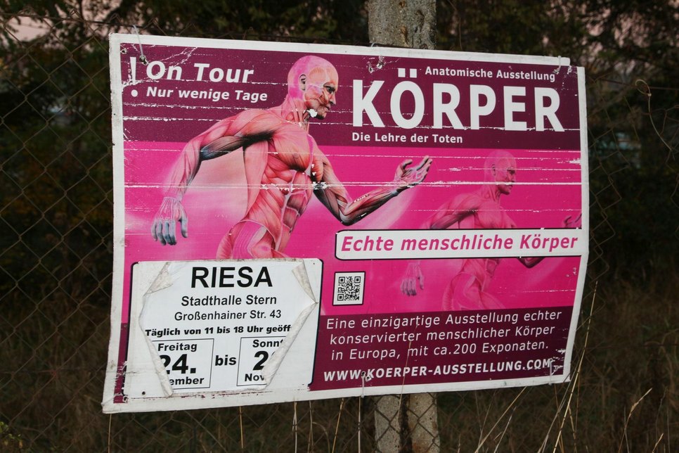 Fast vor einem Jahr war die Körperausstellung zu Gast in Riesa. Geworben wird dafür immer noch an der Rostocker Straße.