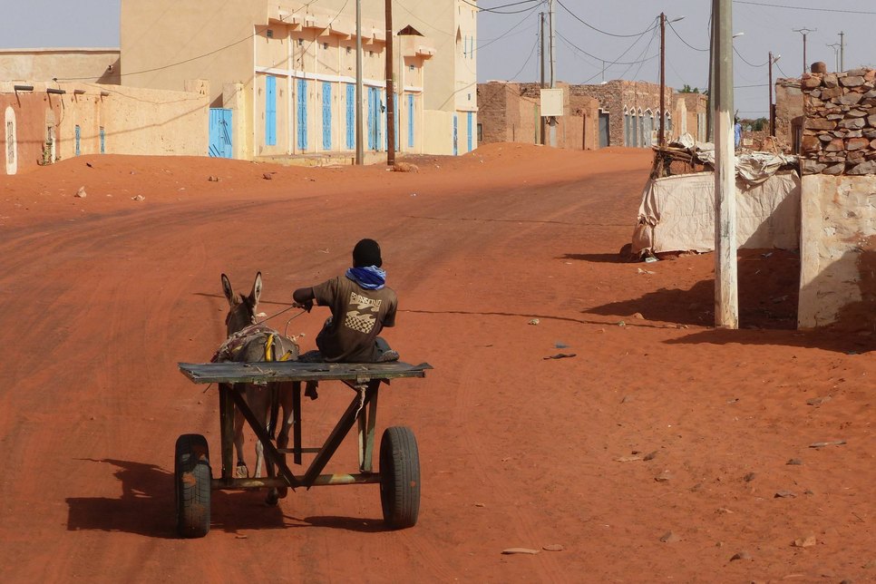 Lastentransport oder Taxi - ein Maultier erledigt in Afrika fast alles. Fotos: Wagner