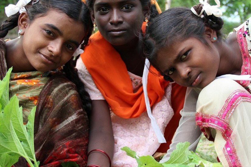 ... das bringt indische Kinder verschiedener Kasten zusammen und lässt sie gemeinsam Gemüse anbauen. (Fotos (4): privat)