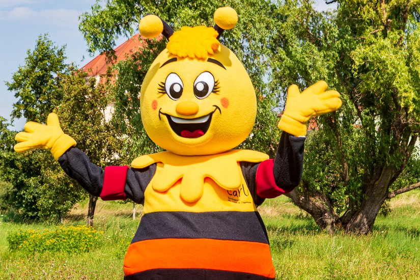 Biene »Carli« ist das Familien-Maskottchen der Stadt Freital.