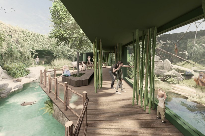 Visualisierung: Links die Otteranlage, rechts das neue Zuhause für die Menschenaffen Visu: Heinle Wischer und Partner