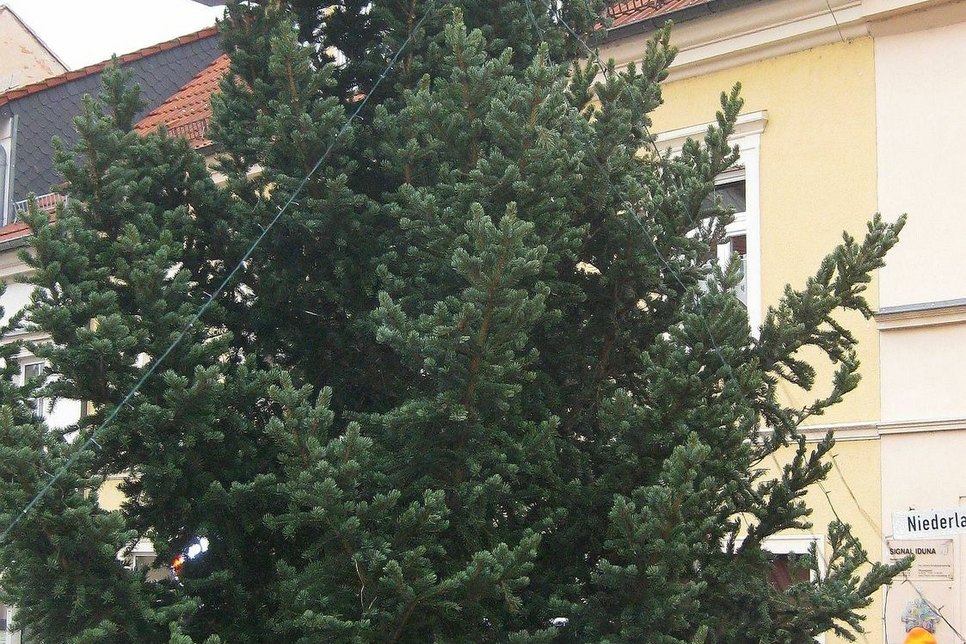 Weihnachtsbaumkugeln und Baumschmuck (kein Glas) aller Art wird gesucht, um die Wette gegen die Sparkasse am 21. Dezember zu gewinnen.   Foto: Sossna