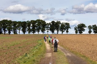 »Wandern in Schlesien« wird vom Kulturreferat für Schlesien am Schlesischen Museum zu Görlitz in Zusammenarbeit mit dem Reisebüro Senfkorn Reisen organisiert. Die erste Ausgabe gab’s 2019.