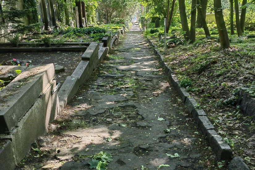 Die Wege auf dem St. Pauli-Friedhof werden nicht mehr ausgebessert.