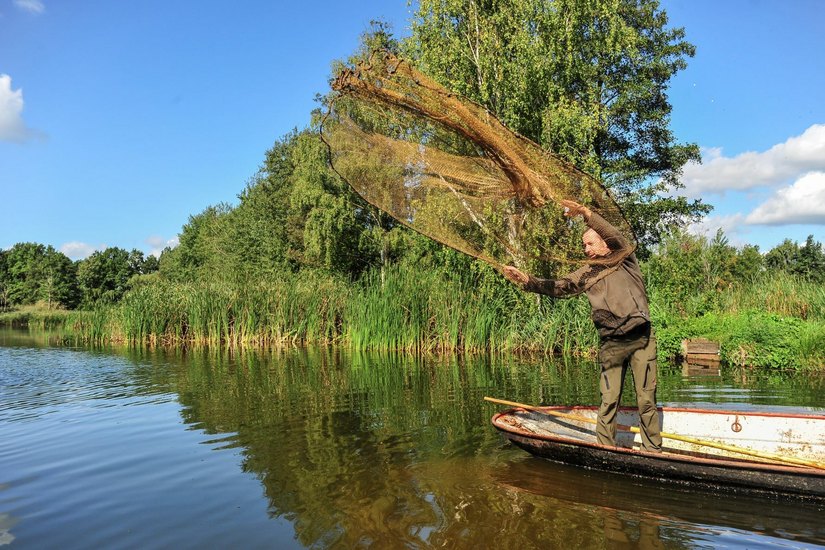 Die Karpfensaison und damit verbundenen Lausitzer Fischwochen haben begonnen. Foto: Michael Clemens