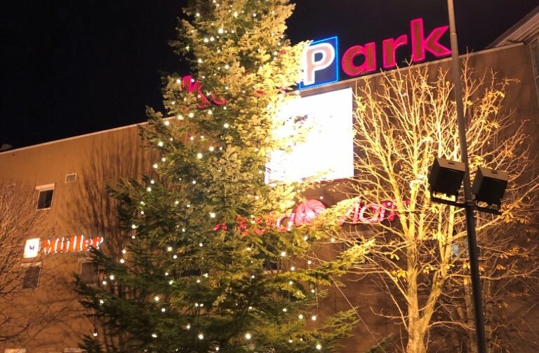Weihnachtsbaum gesucht Dresden WochenKurier