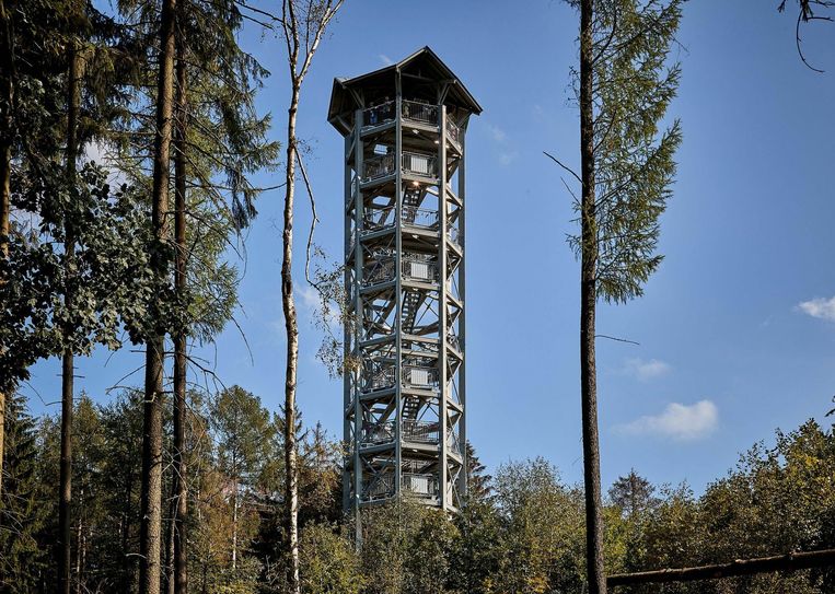 Der Weifbergturm in Hinterhermsdorf. Fotos: M. Förster