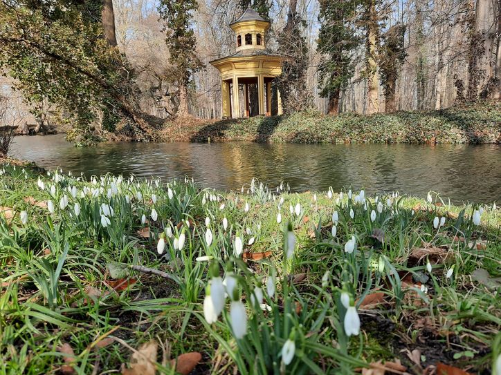 Schlosspark Jahnishausen / Fotos: FÖHK