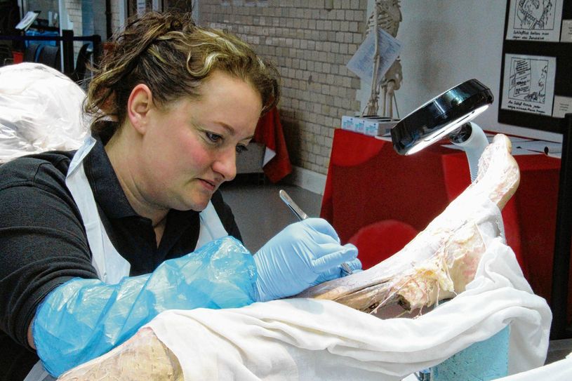 70 Mitarbeiter sind aktuell bei der Gubener Plastinate GmbH angestellt. Auch Janine Schwieger (38) aus Cottbus. Die ausgebildete Zahnarzthelferin arbeitet bereits seit neun Jahren in Guben. Hier bereitet sie einen Körper für die Plastination vor. Foto: jho