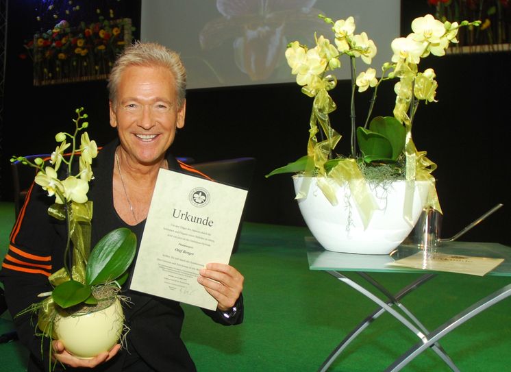 Foto: Mike Schiller