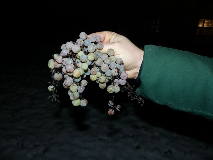 Eiswein...