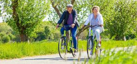 Grüne Wiesen, Felder und Wälder - das Elbe-Elster-Land bietet viele Ausflugsmöglichkeiten.                                 Foto: Andreas Franke/Archiv
