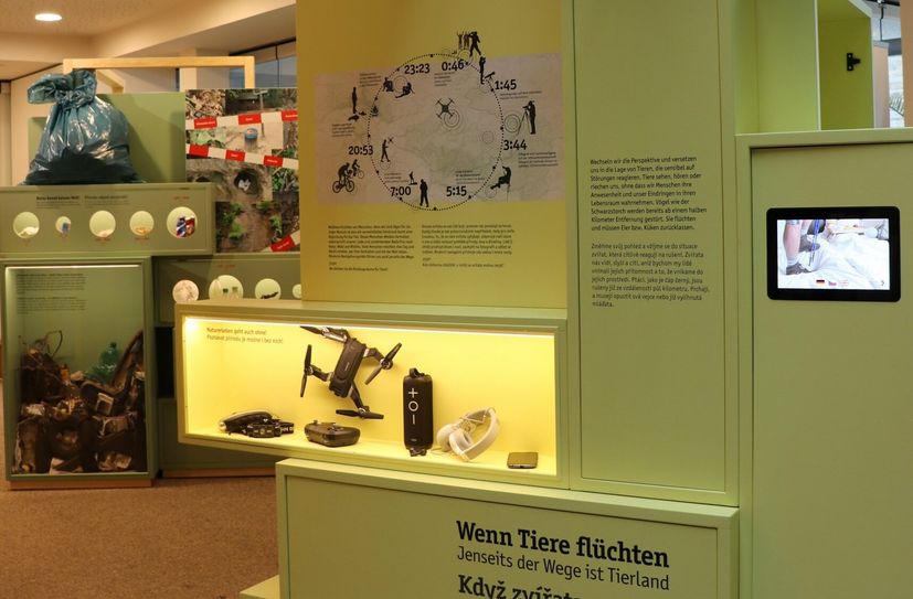 Blick in die neue Sonderausstellung "4x So geht Nationalpark".