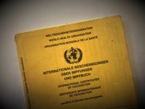 So sieht er aus, der Impfausweis. Foto: Schramm
