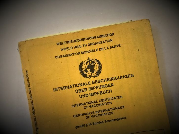 So sieht er aus, der Impfausweis. Foto: Schramm