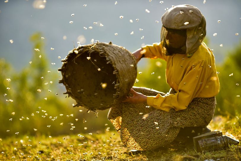 Der Dokumentarfilm Honeyland der Regisseure Tamara Kotevska und Ljubo Stefanov läuft in der Reihe East-Tour. Foto: Neiße Filmfestival
